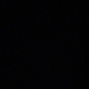 Meet your Posher, Bryant